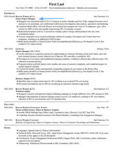 project manager cv sample